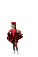 Little Dazzlers